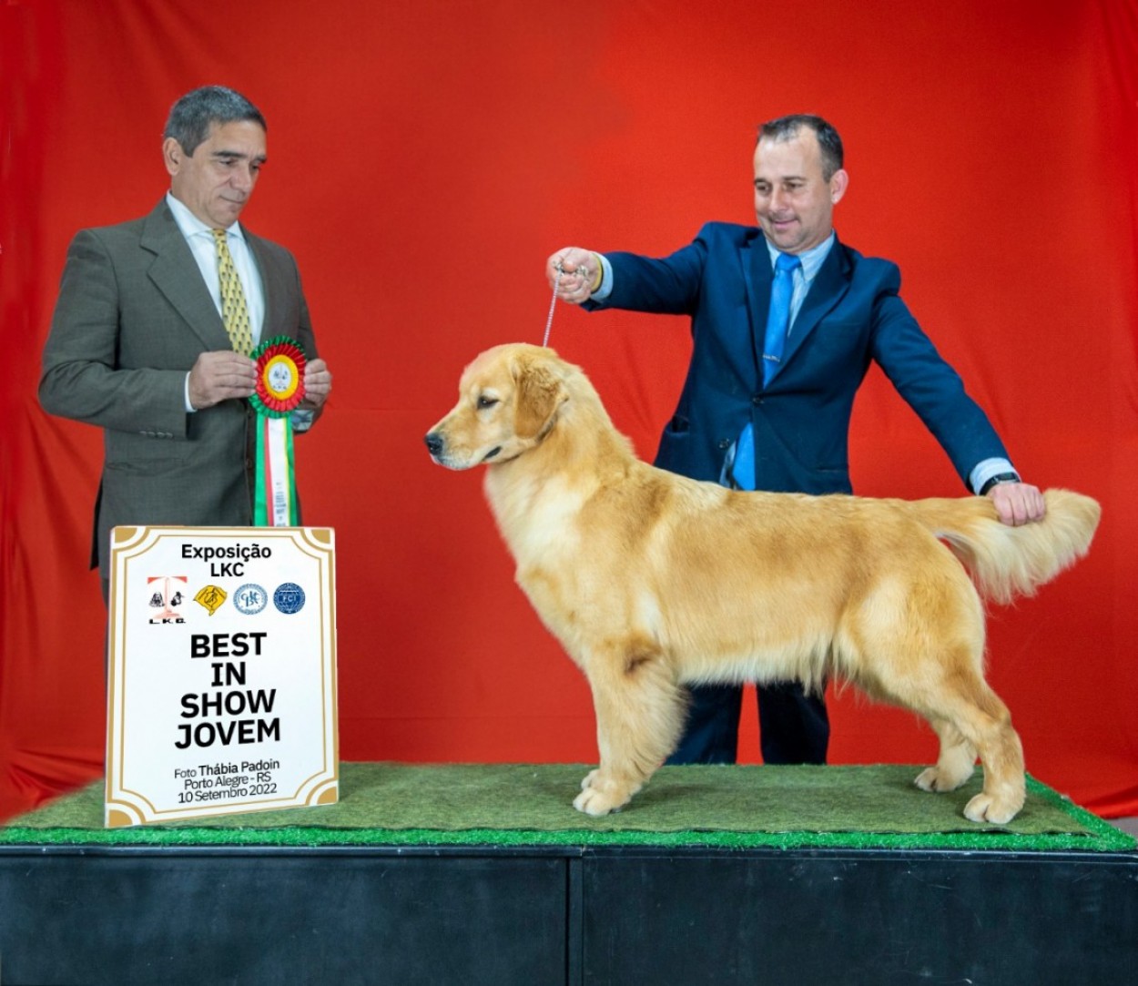 Imagem Golden Sunset - Golden Retrievers